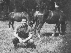 horses